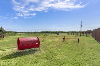 Dog park
